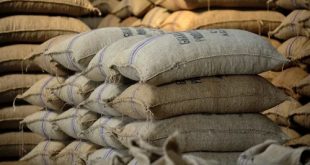 A-G Tasks Plant Protection To Recover GH₵1.3m From Cocoa Marketing Company